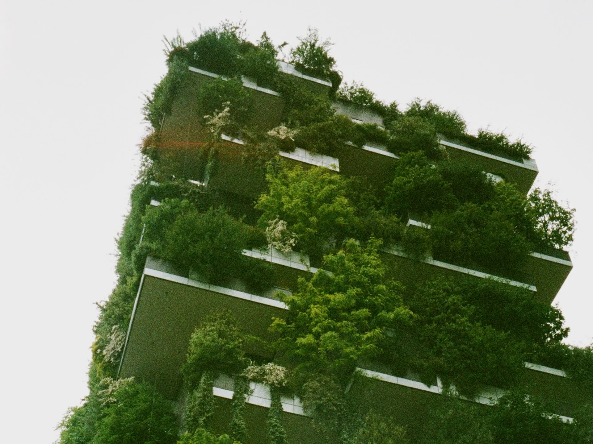 Sustainability in Facilities Management