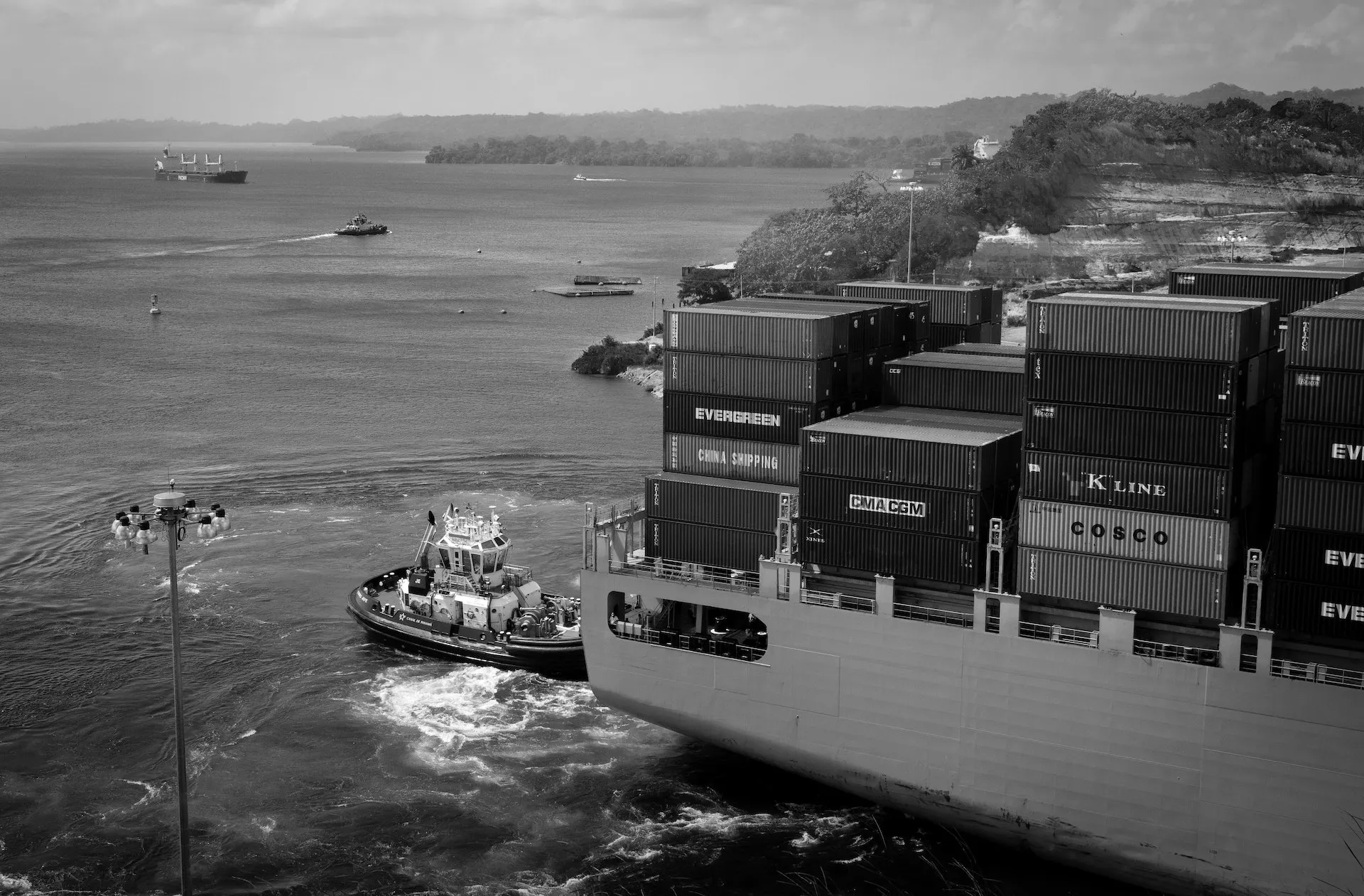 The Role of International Trade Organisations and Their Impacts on Business