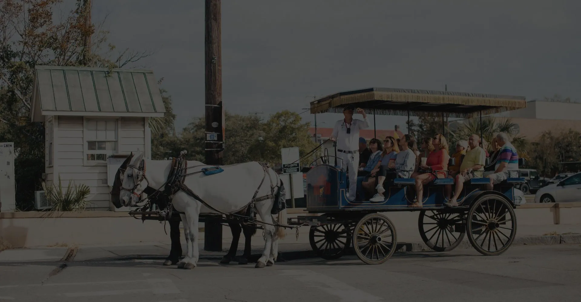 BRING AN INTERNATIONAL ACADEMIC TITLE TO THE TABLE WATCH IT 