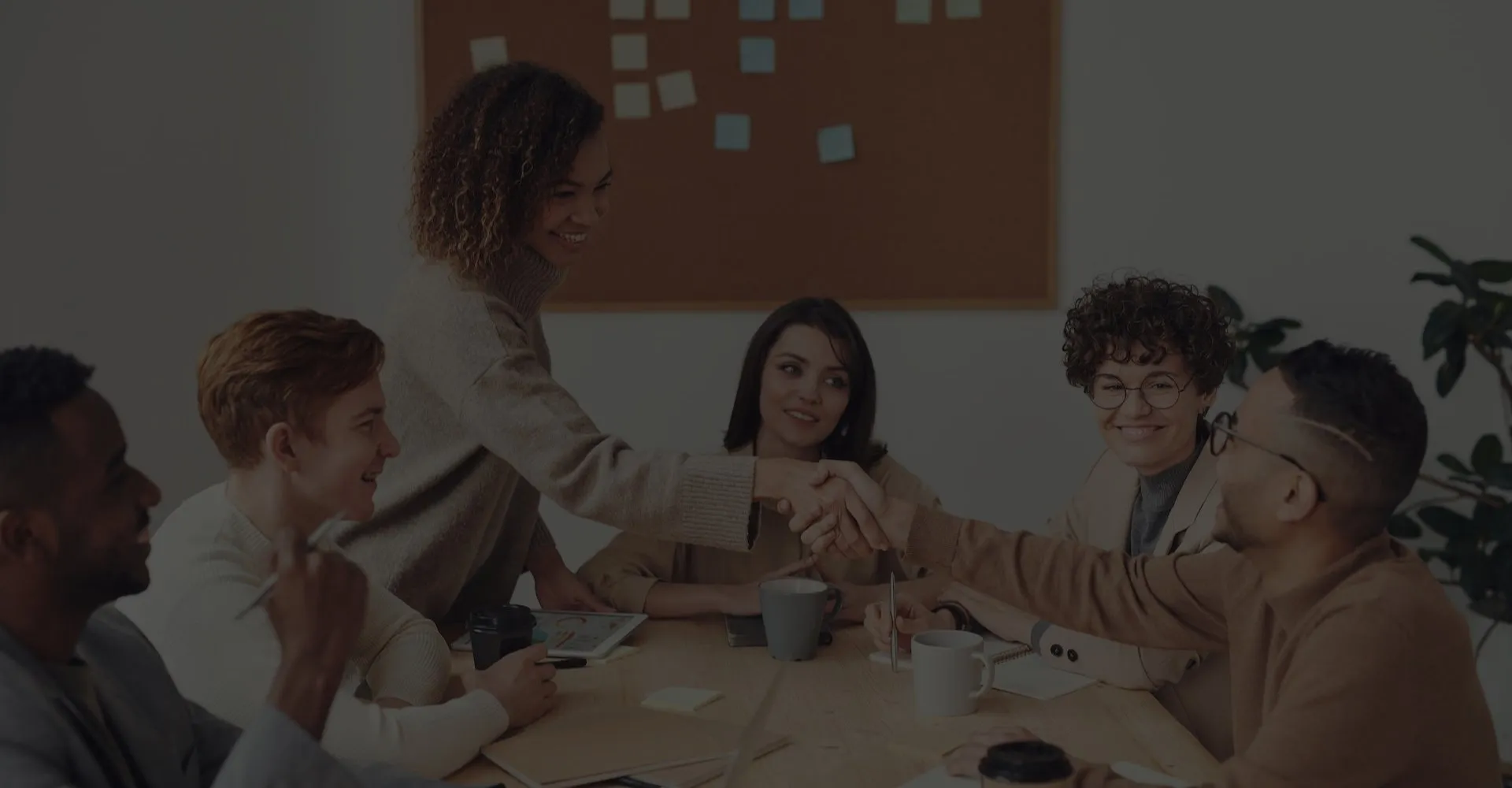 BOOST YOUR PROFESSION 