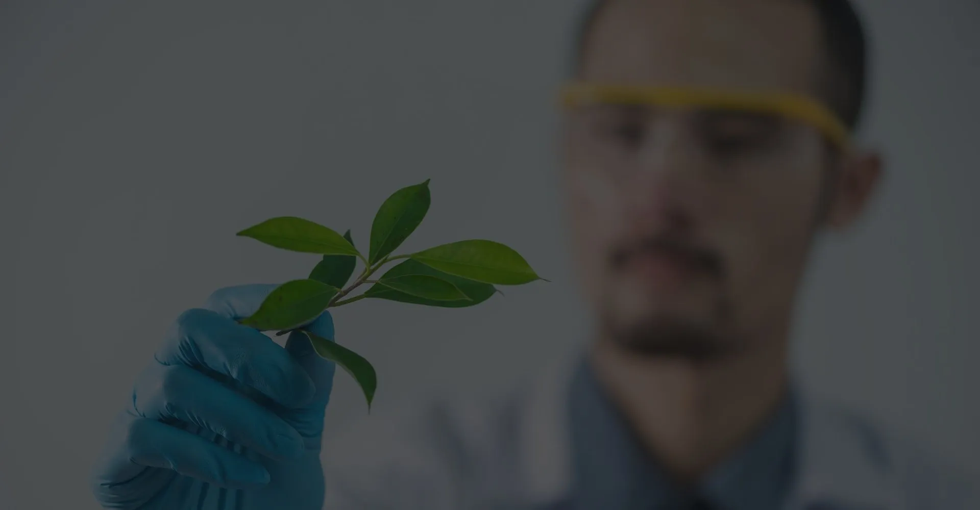 WORK. FAMILY. MASTERS. CHOOSE ALL THREE! 